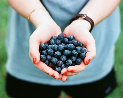 SERVICIO DE NUTRICION